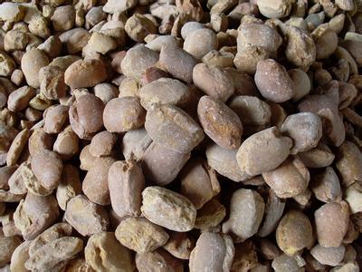 促進氧化鈣燒結致密化的燒結
